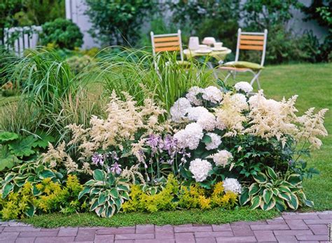 Záhon s kvitnúcou Astilbe a listami Hosty
