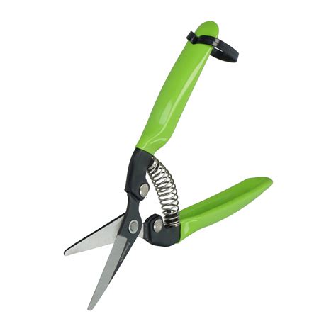 ilustrácia: Bonsajové nožnice a technika strihania výhonkov