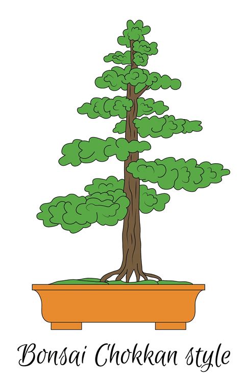 koláž: Ilustrácia rôznych štýlov bonsajov (Chokkan, Moyogi, Kaskádový)