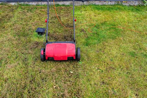 fotografia hustého a sýtozeleného trávnika