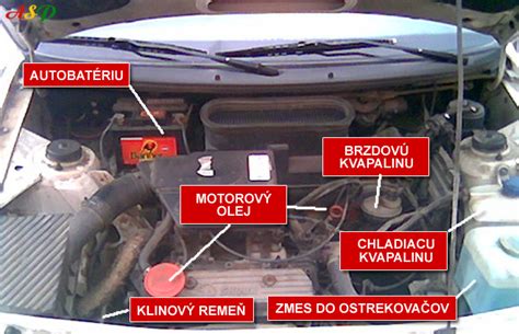 Detail poškodených káblov v motorovom priestore auta spôsobených kunou