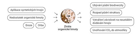 Schéma mikrobiologického rozkladu organickej hmoty v komposte s vyobrazením aktivity húb a plesní.