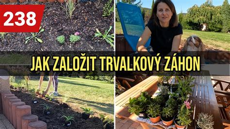 Schéma výsadby živého plota z vavrínovca s vyznačenými rozostupmi a hĺbkou jamy