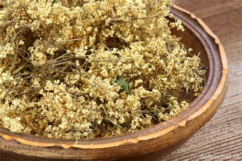 miska s plodmi bazy čiernej a sušenými kvetmi