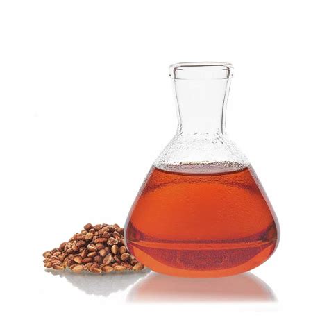 Široká škála produktov z datľovníka: listy, drevo, olej zo semien