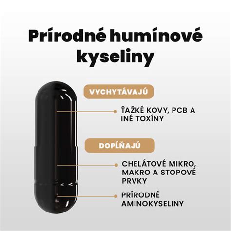 Schéma pôsobenia humínových kyselín na toxíny v pôde