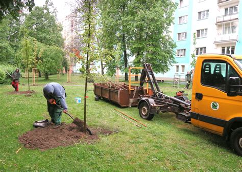 skupina dobrovoľníkov vysádza stromy v areáli školy