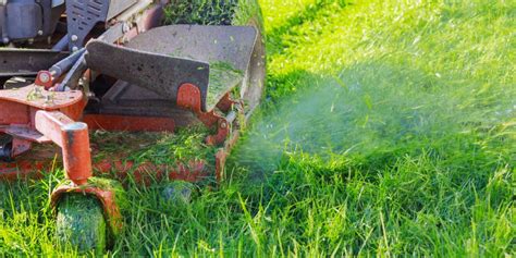 Ilustrácia princípu mulčovania trávnika