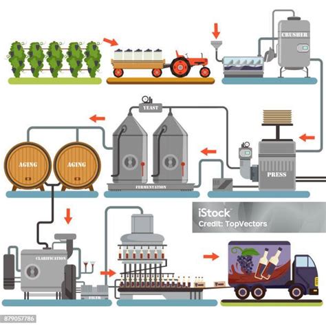Informatívna schéma znázorňujúca proces zberu hrozna a spracovania vína vo vinárstve