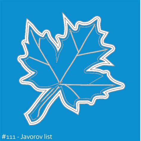 Schéma množenia javora potápaním výhonkov