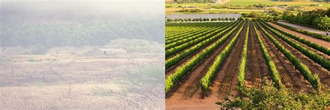 Detailná fotografia popraskanej, tvrdej pôdy