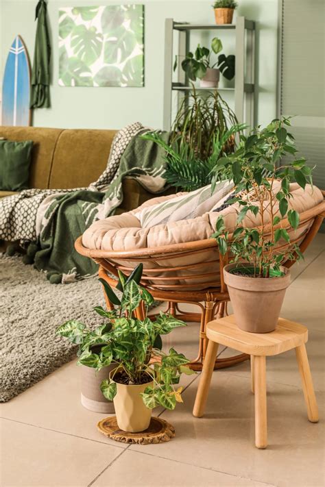 Ilustračná fotografia interiéru záhradníctva s rastlinami