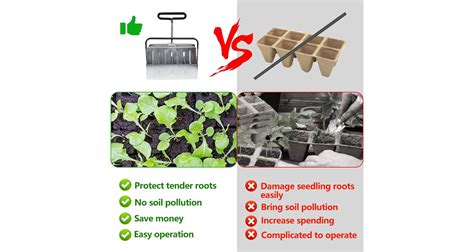 Grafika znázorňujúca optimálne obdobie na výsadbu rajčiakov