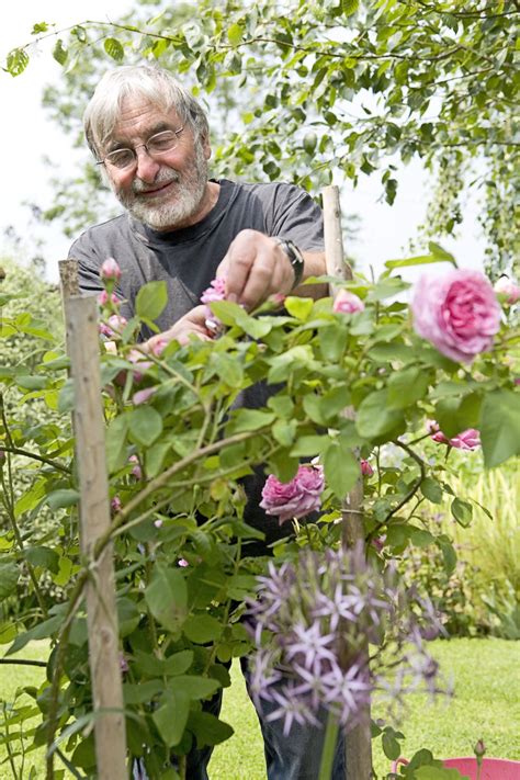 Ilustrácia rôznych druhov ruží v záhrade