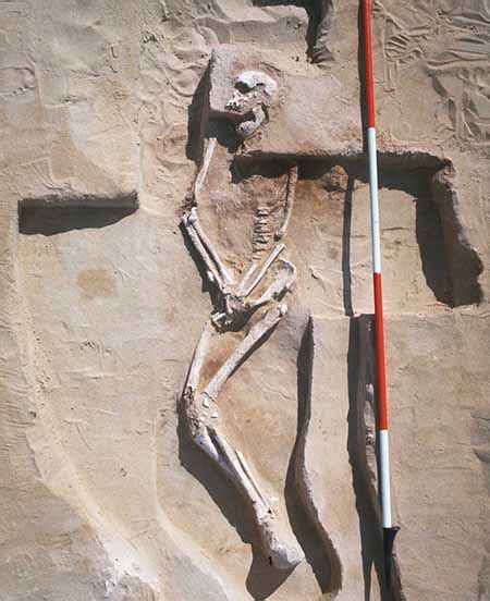 Ilustrácia alebo fotografia pozostatkov Mungo Man a Mungo Lady, alebo archeologických nálezov