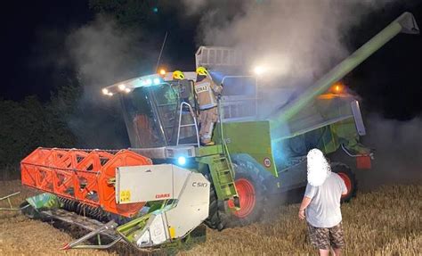 Zber tekvice olejnej pomocou kombajnu na veľkej farme