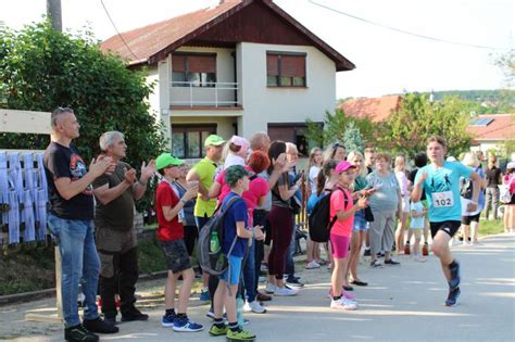 Vinohrad v lokalite Veľké Lovce