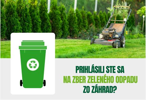 Detailný pohľad na prepikírovanie rastlín do menších nádob