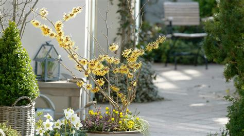 Farebné kvetináče s rôznymi rastlinami na terase