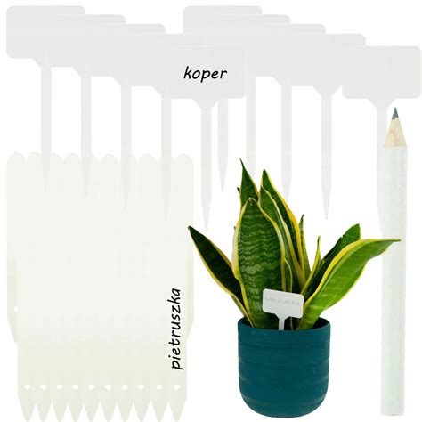 Štítky s názvami rastlín pri vysadených priesadách