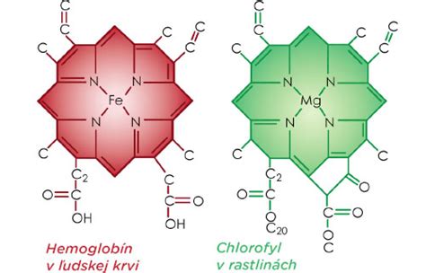 Grafika zobrazujúca molekulárnu štruktúru salicínu