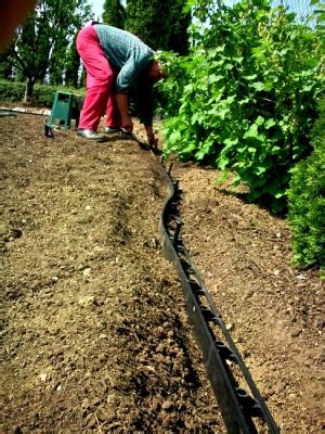 Foto: Záhradné plochy oddelené neviditeľnými obrubníkmi