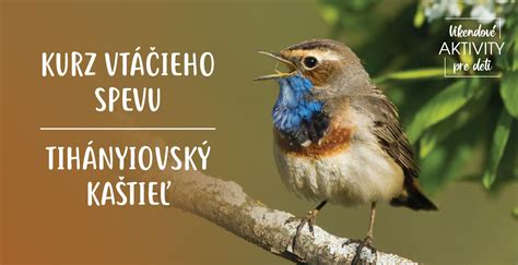 Fotografia Stavikrvu vtáčieho