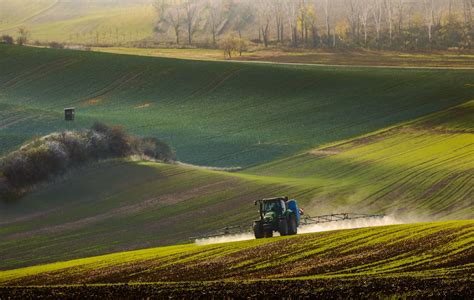 Agrotechnické práce na poli s obilninami