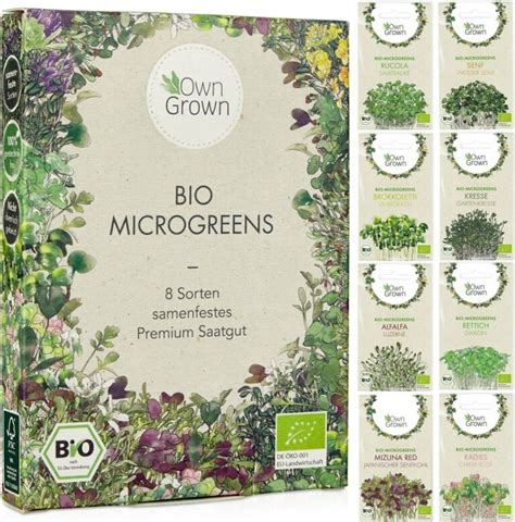 Ilustrácia rôznych druhov microgreens na kuchynskom tanieri