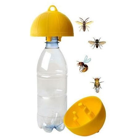 Kairomónový lapač s odchytenými ovocnými muškami