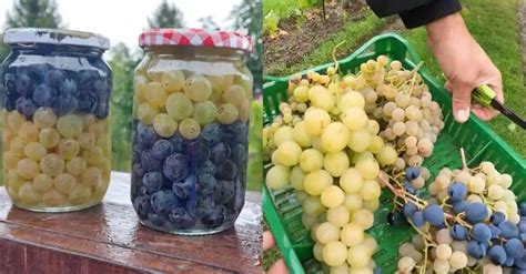 čerstvé hrozno rôznych farieb na stôl