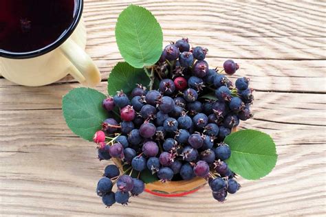 fotografia zrelých plodov muchovníka v miske