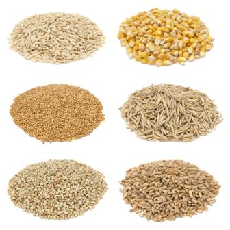 Koláž rôznych obilnín a pseudoobilnín (pšenica, špalda, raž, ovos, pohánka, quinoa, kukurica)