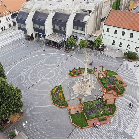 Záhon plný rôznofarebných astroviek čínskych v plnom kvete.