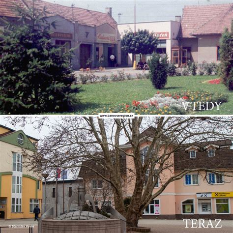 Infografika porovnávajúca úbytok pestovateľských plôch cesnaku v priebehu desaťročí