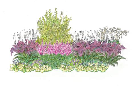 Záhon s rozkvitnutými plamienkami popínavými po opore