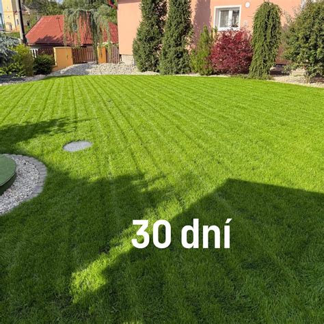 Porovnávacia tabuľka: Siaty trávnik vs. Kobercový trávnik