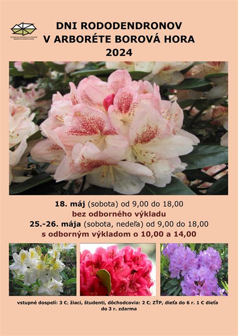 Fotografia časti rozária alebo kaktusovej zbierky v Arboréte