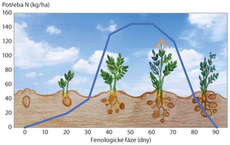Schéma prípravy zemiakového hnojiva