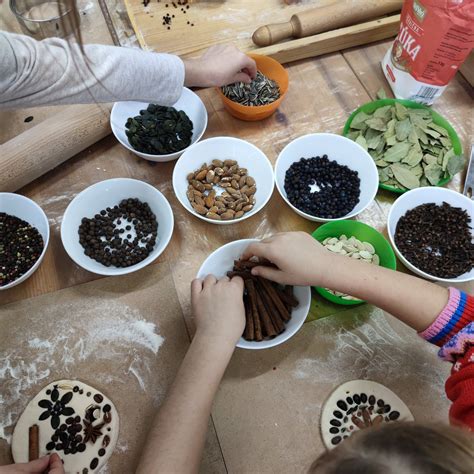 Ilustrácia rôznych druhov borievok s ich charakteristickými tvarmi a farbami ihličia.