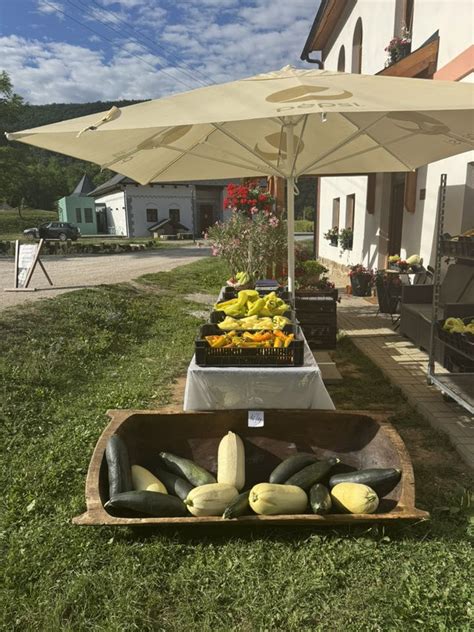 Infografika znázorňujúca princípy klimaticky zodpovedného záhradníctva s ikonami pre každý bod.