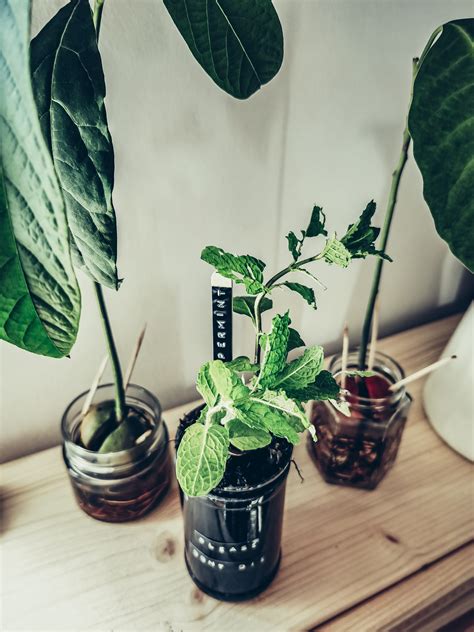 DIY samozavlažovací kvetináč z fľaše