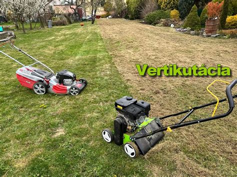 Fotografia správne vykonanej vertikutácie: porovnanie hustoty trávnika pred a po zásahu