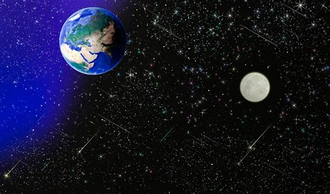 Ilustrácia cyklu rastu Vianočnej hviezdy počas roka