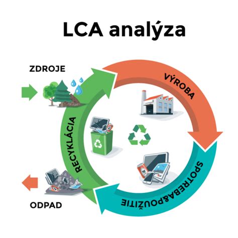 schematické znázornenie cyklu rastu komonice lekárskej
