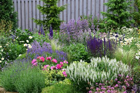 Farebný záhon s letnými kvetmi a bylinkami