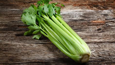 Detail na čerstvé, šťavnaté stonky stopkového zeleru.