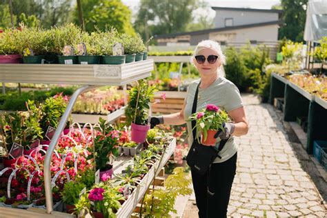 Foto rozmanitých kvetov a rastlín v záhradníctve