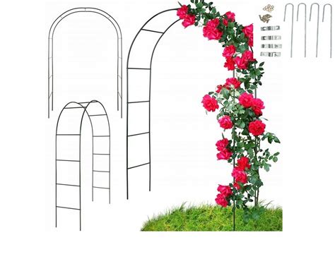 Schéma umiestnenia popínavých rastlín na záhradných konštrukciách (pergola, mriežka, plot)