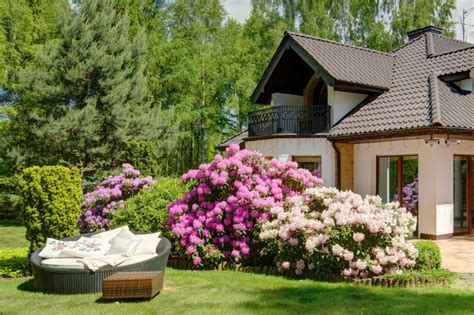 Záhrada plná rozkvitnutých ibištekov rôznych farieb a veľkostí